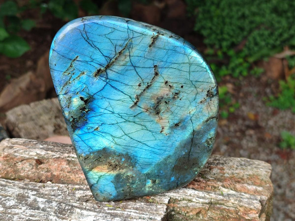 Polished Labradorite Standing Free Forms x 2 From Madagascar - Toprock Gemstones and Minerals 