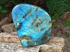 Polished Labradorite Standing Free Forms x 2 From Madagascar - Toprock Gemstones and Minerals 