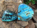 Polished Labradorite Standing Free Forms x 2 From Madagascar - Toprock Gemstones and Minerals 
