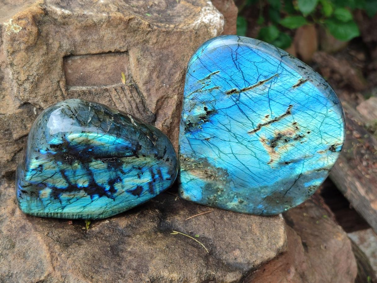 Polished Labradorite Standing Free Forms x 2 From Madagascar - Toprock Gemstones and Minerals 