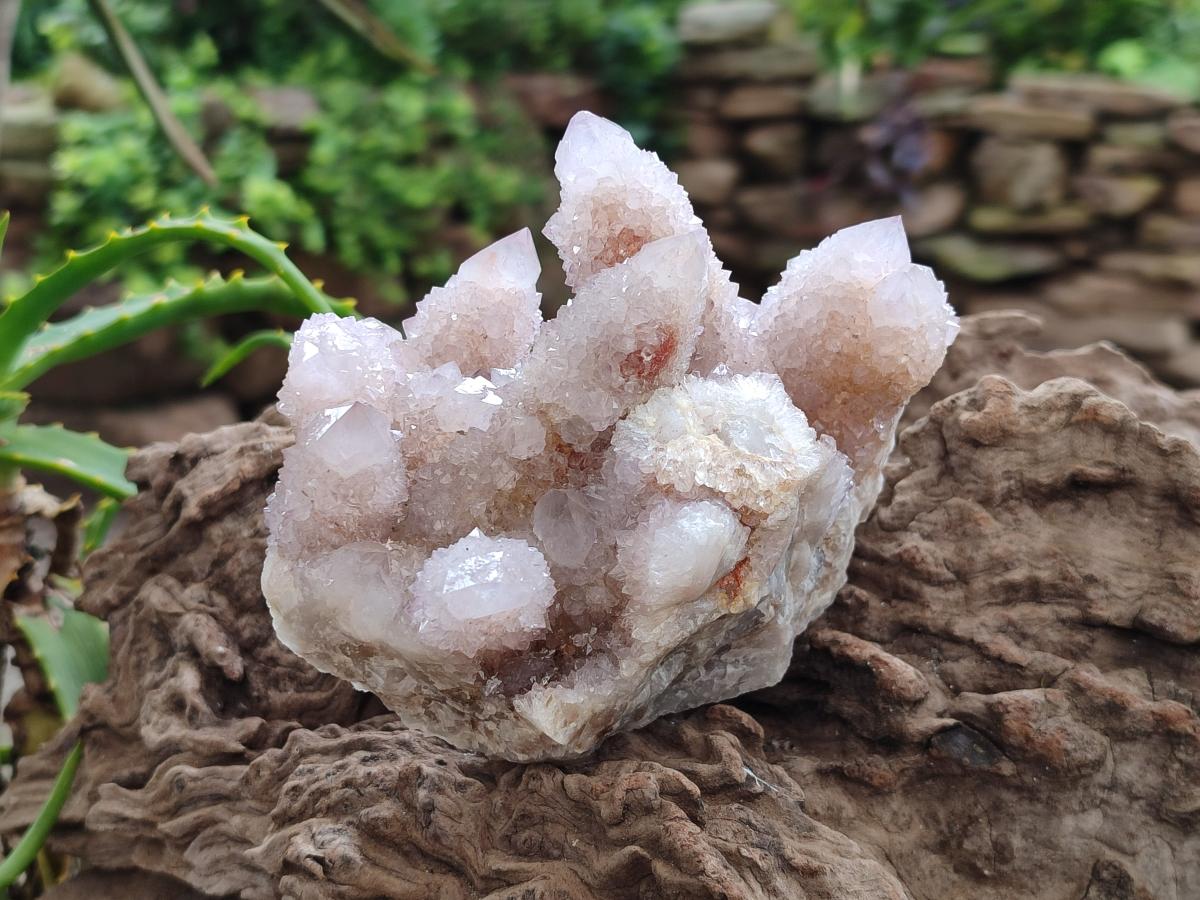 Natural Lilac Ametrine Spirit Clusters x 4 From Boekenhouthoek, South Africa - Toprock Gemstones and Minerals 