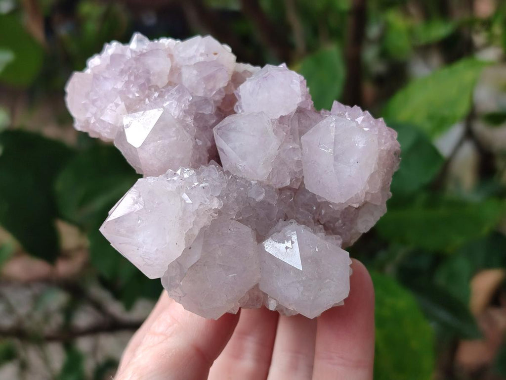 Natural Lilac Ametrine Spirit Clusters x 4 From Boekenhouthoek, South Africa - Toprock Gemstones and Minerals 