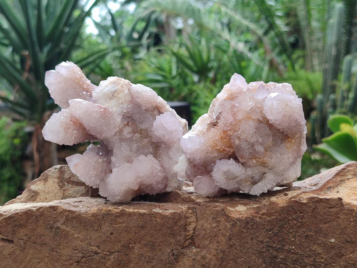 Natural Lilac Ametrine Spirit Clusters x 4 From Boekenhouthoek, South Africa - Toprock Gemstones and Minerals 