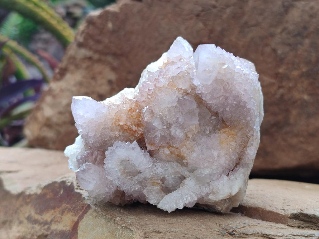 Natural Lilac Ametrine Spirit Clusters x 4 From Boekenhouthoek, South Africa - Toprock Gemstones and Minerals 