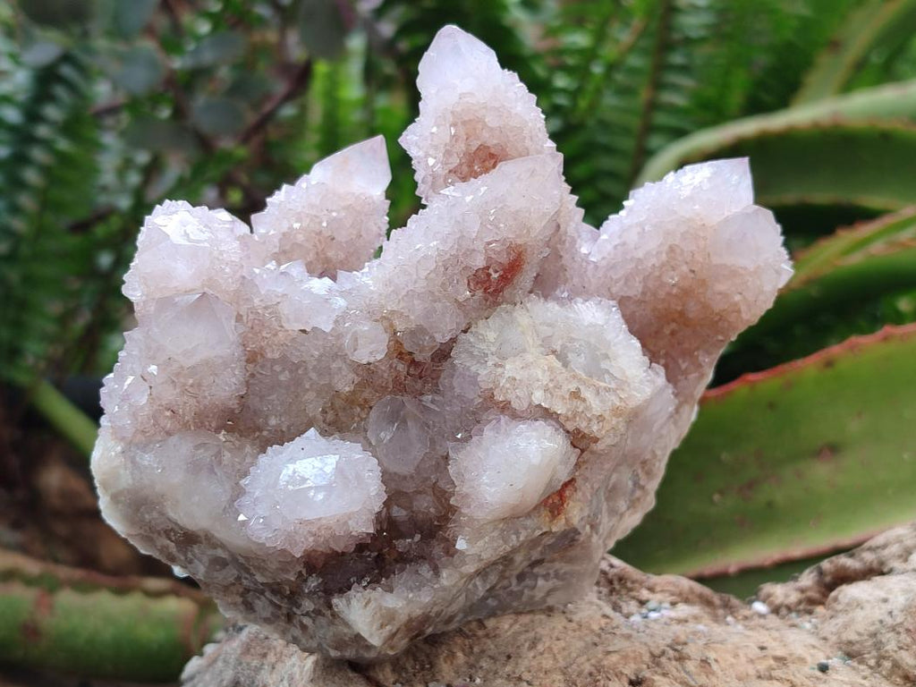 Natural Lilac Ametrine Spirit Clusters x 4 From Boekenhouthoek, South Africa - Toprock Gemstones and Minerals 