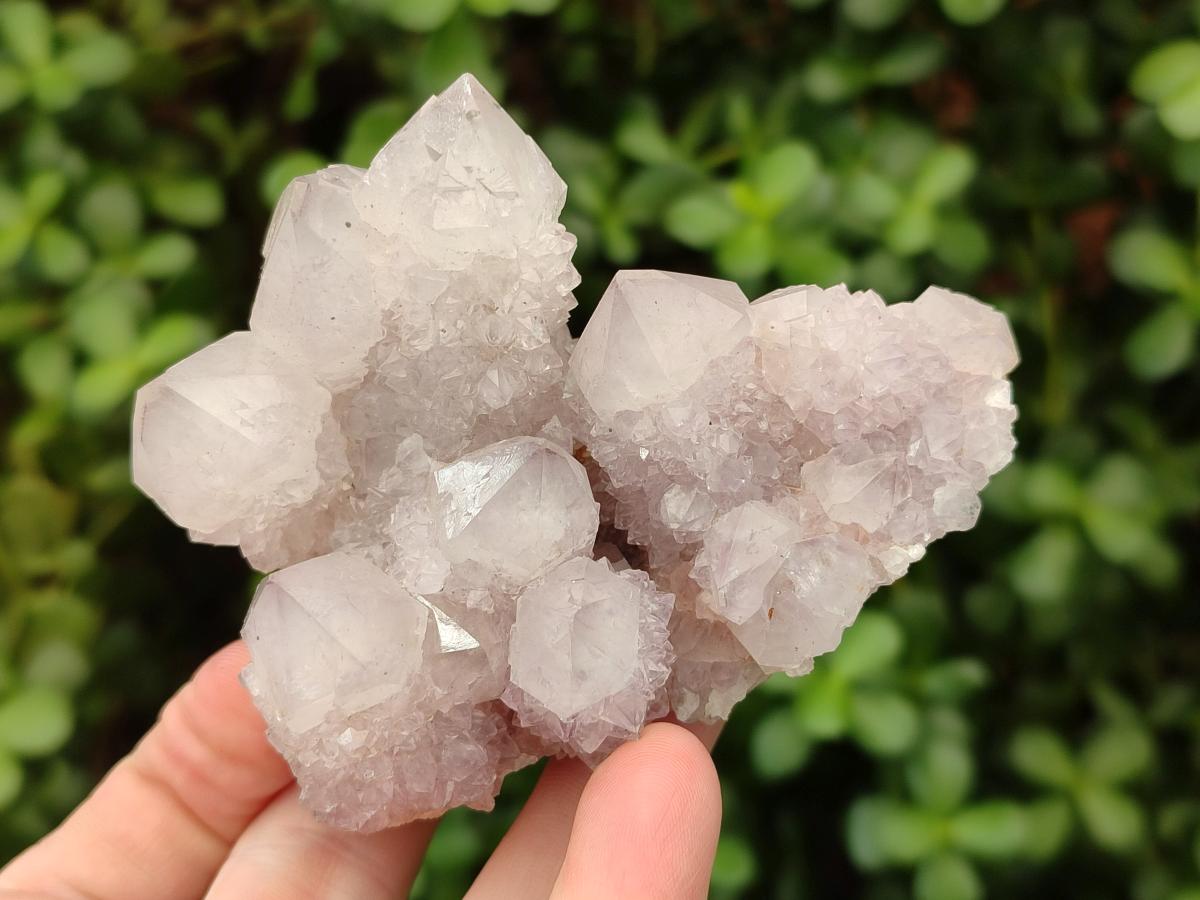 Natural Lilac Ametrine Spirit Clusters x 4 From Boekenhouthoek, South Africa - Toprock Gemstones and Minerals 
