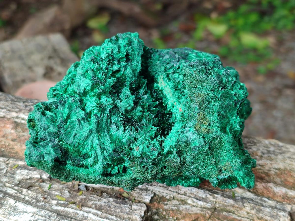 Natural Silky Malachite Specimens x 2 From Kasompe, Congo - Toprock Gemstones and Minerals 