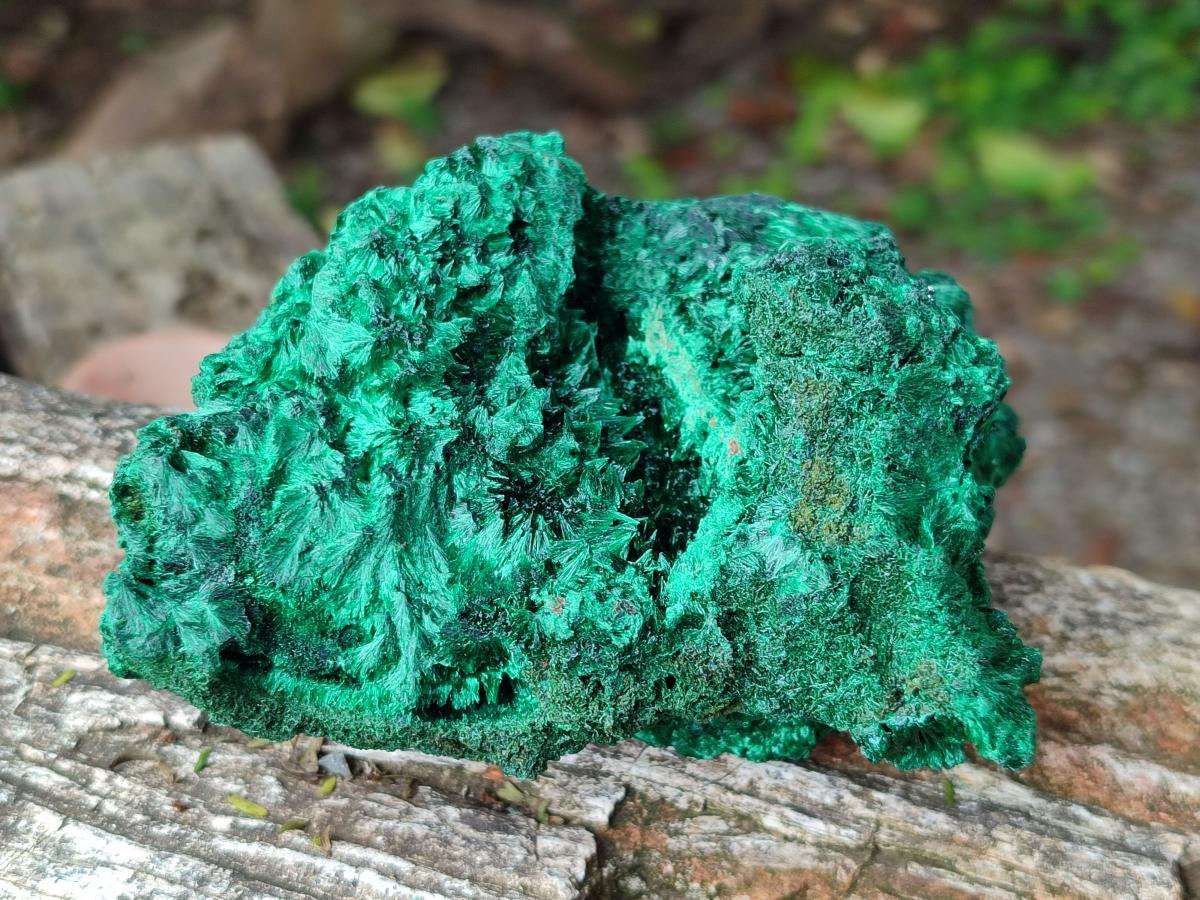 Natural Silky Malachite Specimens x 2 From Kasompe, Congo - Toprock Gemstones and Minerals 