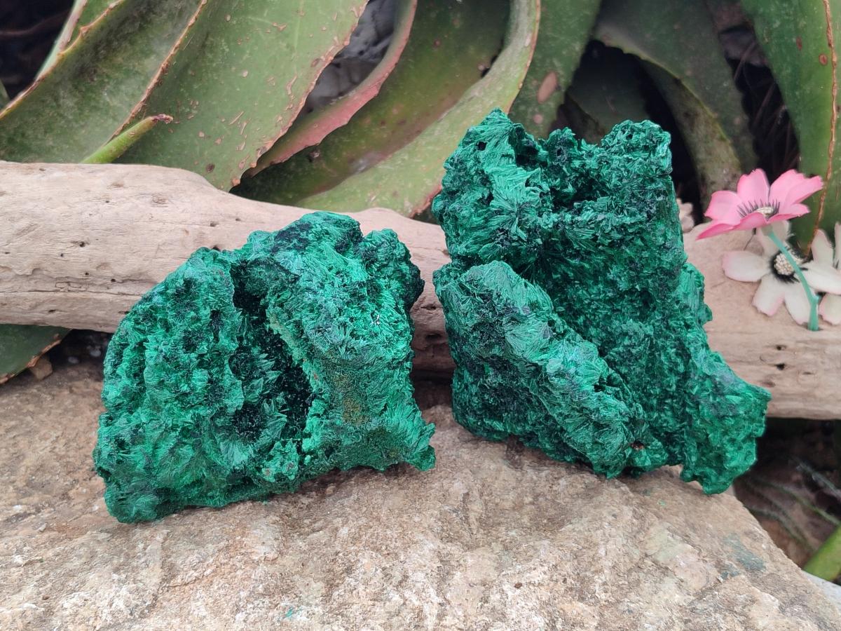 Natural Silky Malachite Specimens x 2 From Kasompe, Congo - Toprock Gemstones and Minerals 