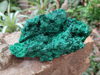 Natural Silky Malachite Specimens x 2 From Kasompe, Congo - Toprock Gemstones and Minerals 