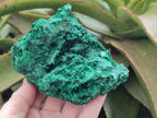 Natural Silky Malachite Specimens x 2 From Kasompe, Congo - Toprock Gemstones and Minerals 
