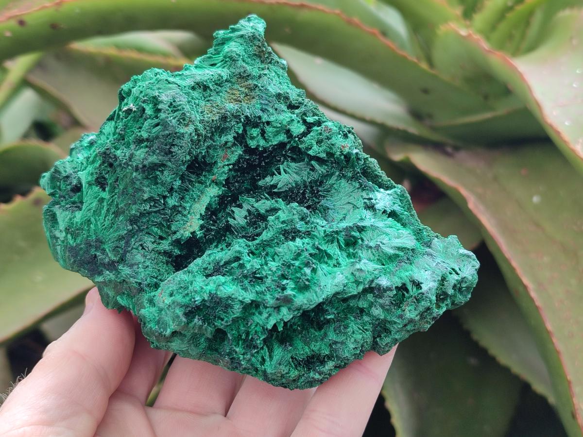 Natural Silky Malachite Specimens x 2 From Kasompe, Congo - Toprock Gemstones and Minerals 