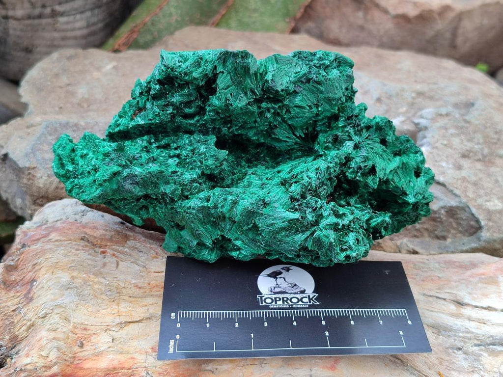 Natural Silky Malachite Specimens x 2 From Kasompe, Congo - Toprock Gemstones and Minerals 