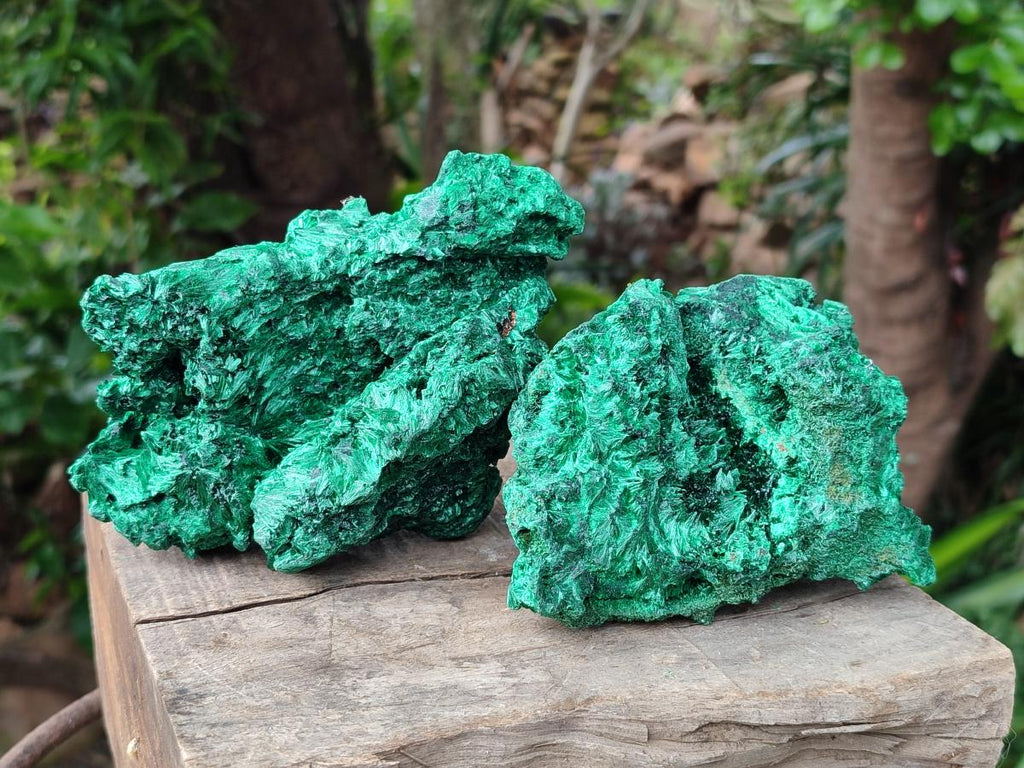 Natural Silky Malachite Specimens x 2 From Kasompe, Congo - Toprock Gemstones and Minerals 