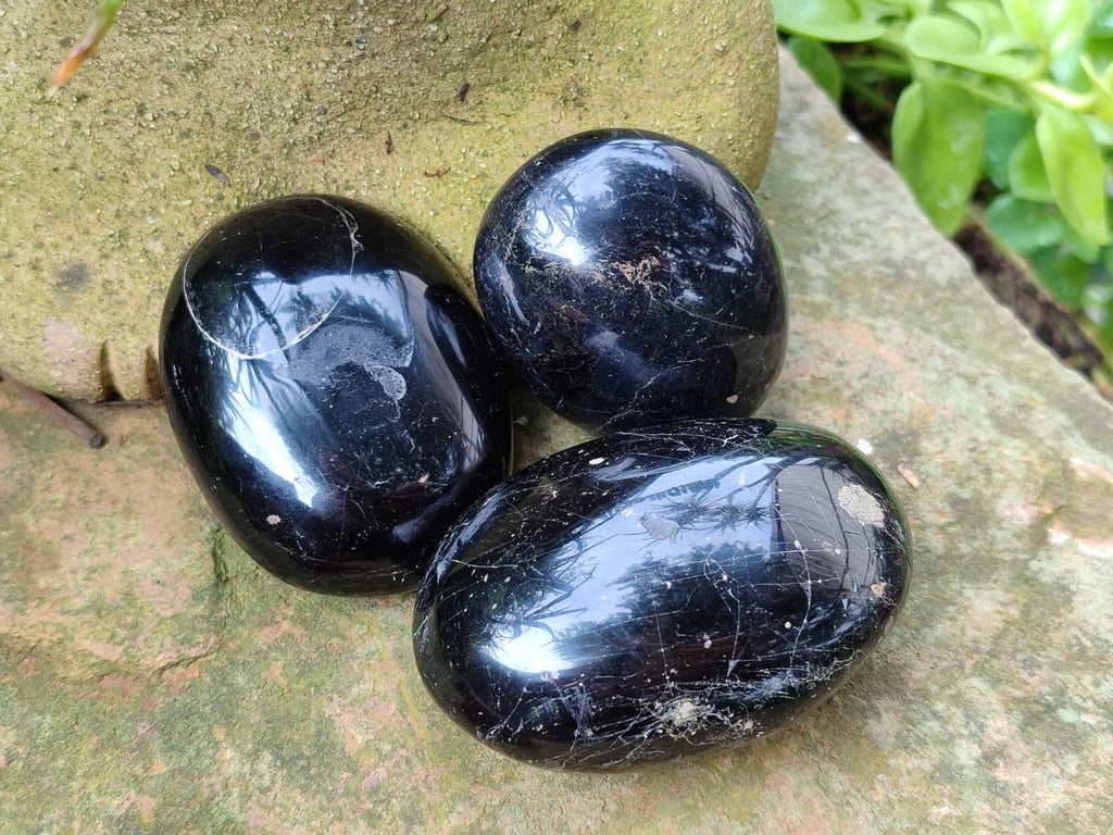 Polished Black Tourmaline Galets x 12 From Madagascar - Toprock Gemstones and Minerals 
