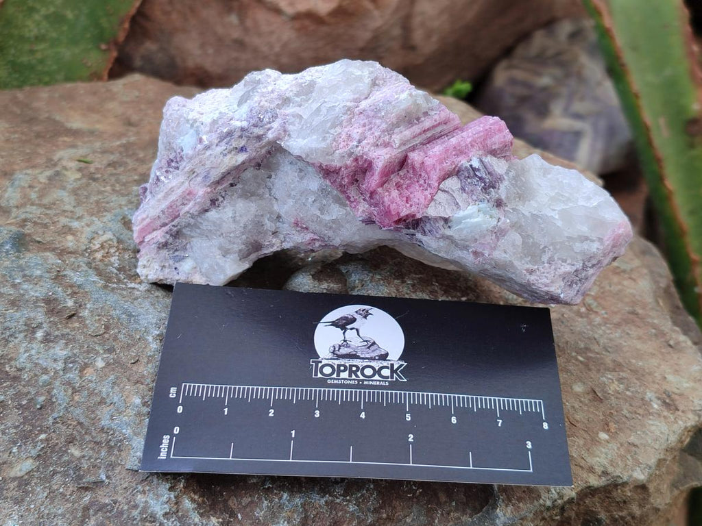 Natural Pink Rubellite Tourmaline Specimens x 6 From Karibib, Namibia - Toprock Gemstones and Minerals 