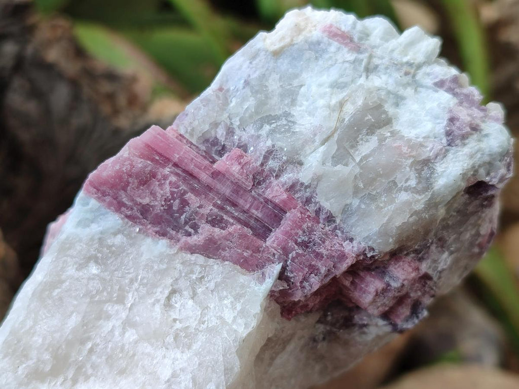 Natural Pink Rubellite Tourmaline Specimens x 6 From Karibib, Namibia - Toprock Gemstones and Minerals 