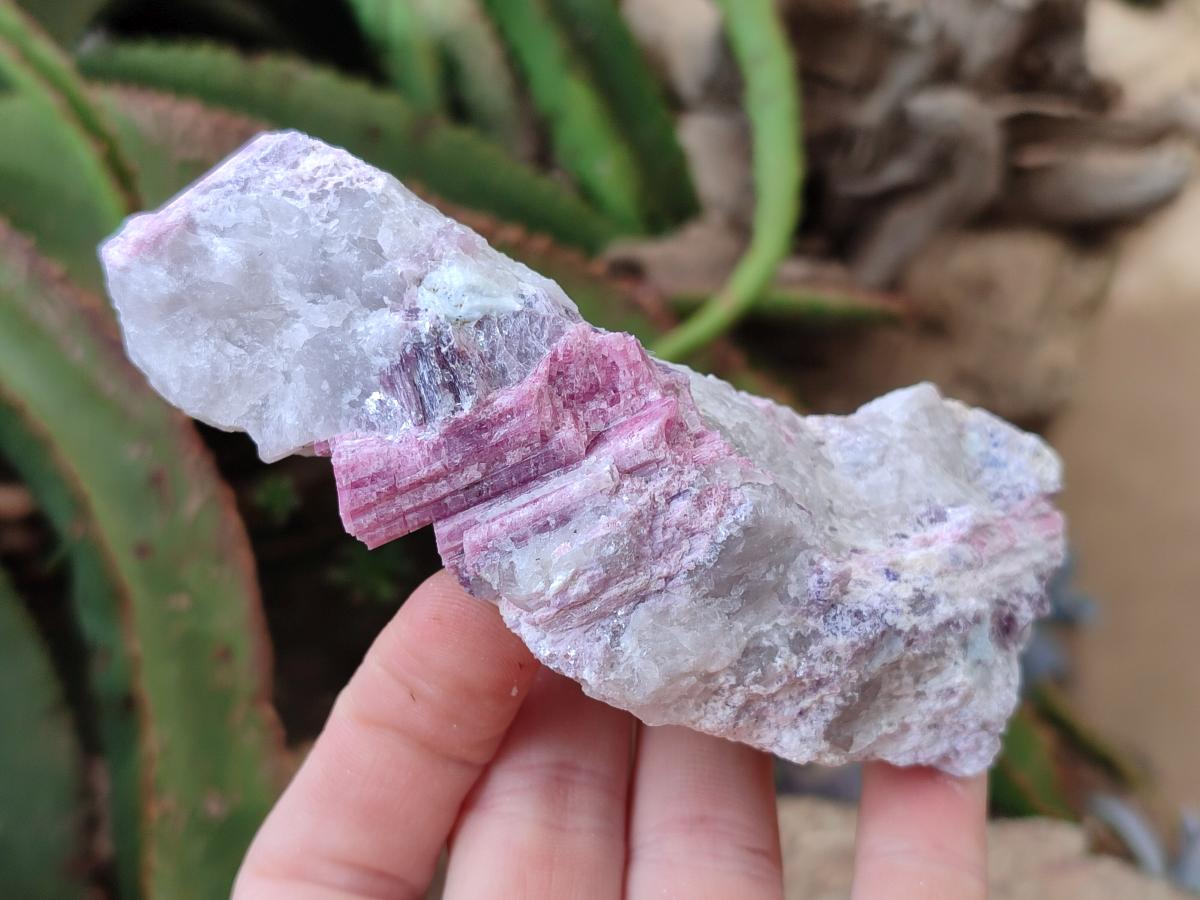 Natural Pink Rubellite Tourmaline Specimens x 6 From Karibib, Namibia - Toprock Gemstones and Minerals 