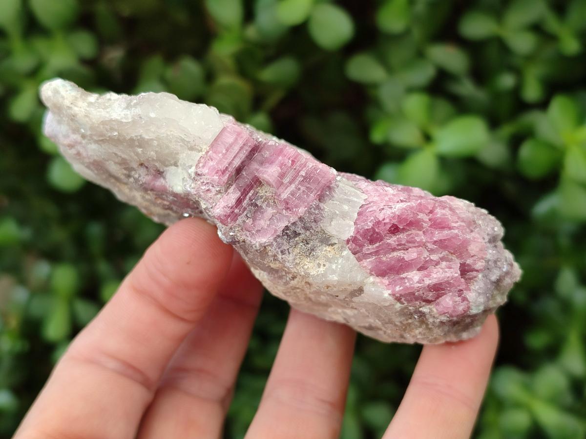 Natural Pink Rubellite Tourmaline Specimens x 6 From Karibib, Namibia - Toprock Gemstones and Minerals 