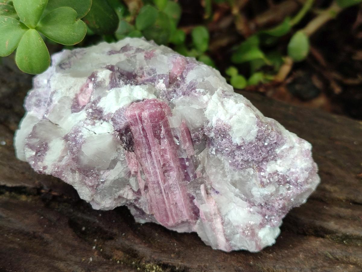 Natural Pink Rubellite Tourmaline Specimens x 6 From Karibib, Namibia - Toprock Gemstones and Minerals 