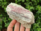 Natural Pink Rubellite Tourmaline Specimens x 6 From Karibib, Namibia - Toprock Gemstones and Minerals 