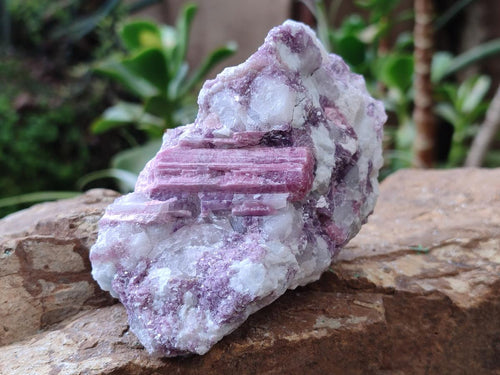 Natural Pink Rubellite Tourmaline Specimens x 6 From Karibib, Namibia - Toprock Gemstones and Minerals 