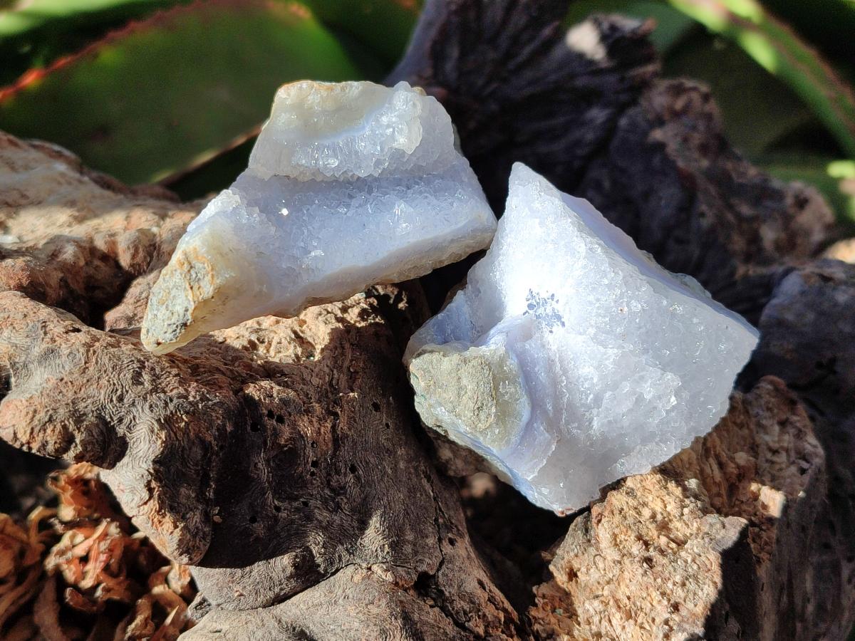 Natural Blue Lace Agate Geode Specimens x 12 From Nsanje, Malawi - Toprock Gemstones and Minerals 