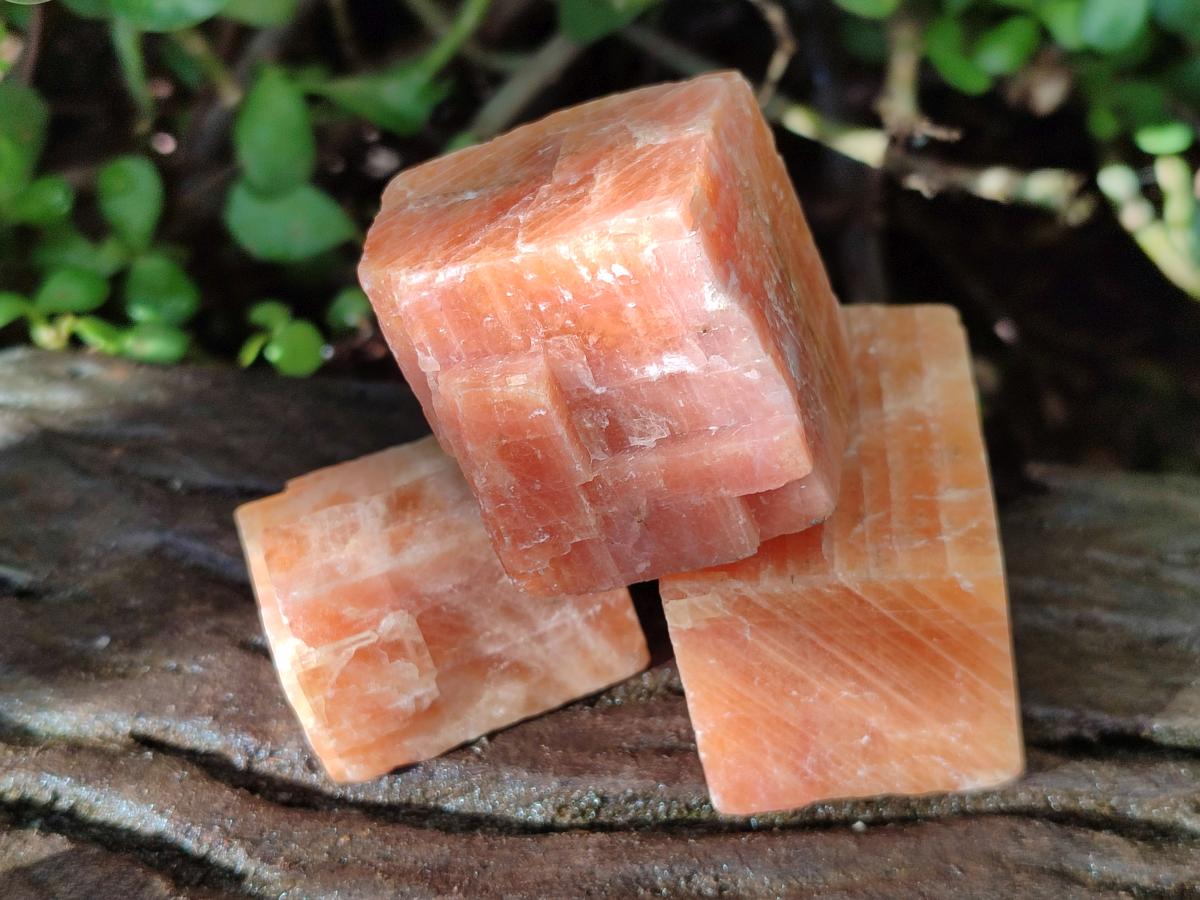 Natural Rhombohedral Sunset Orange Calcite Specimens x 24 From Spitzkop, Namibia - Toprock Gemstones and Minerals 
