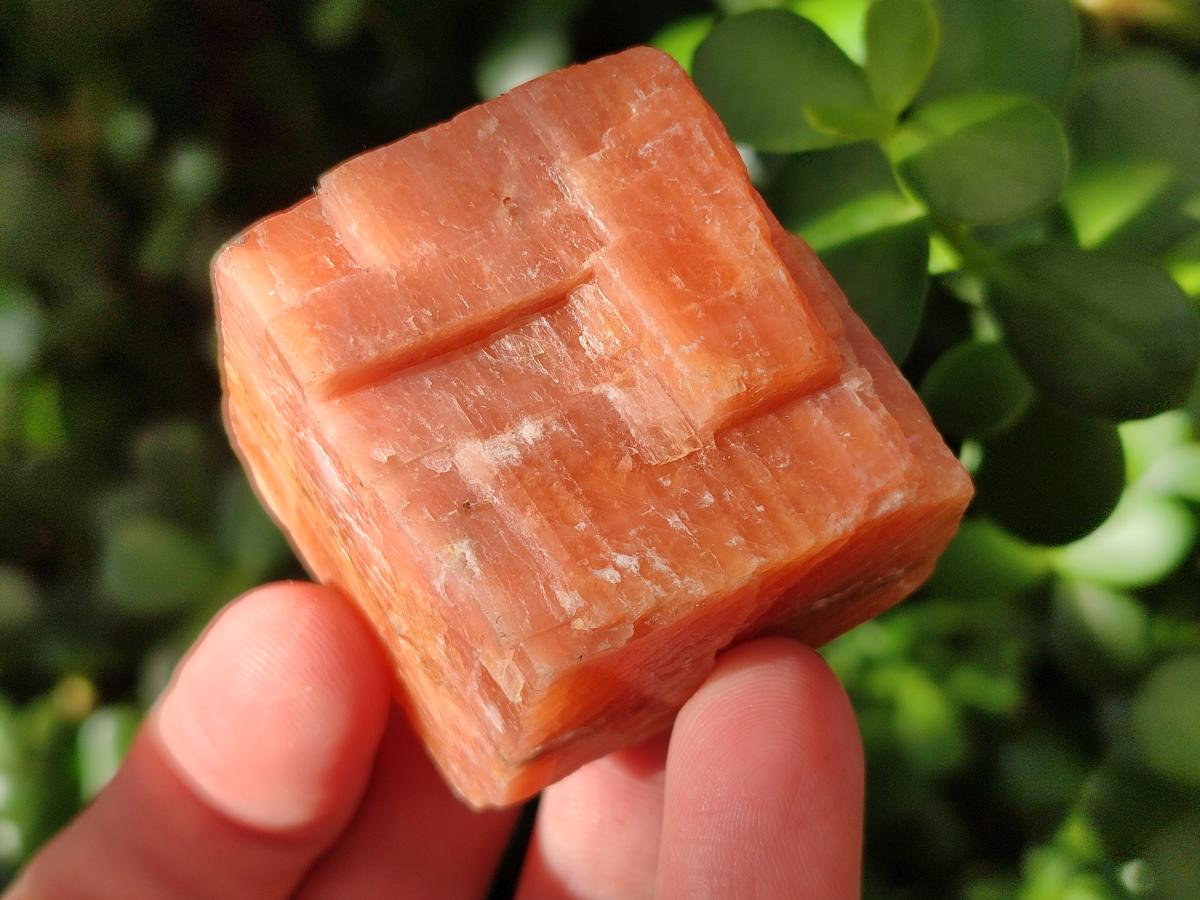 Natural Rhombohedral Sunset Orange Calcite Specimens x 24 From Spitzkop, Namibia - Toprock Gemstones and Minerals 
