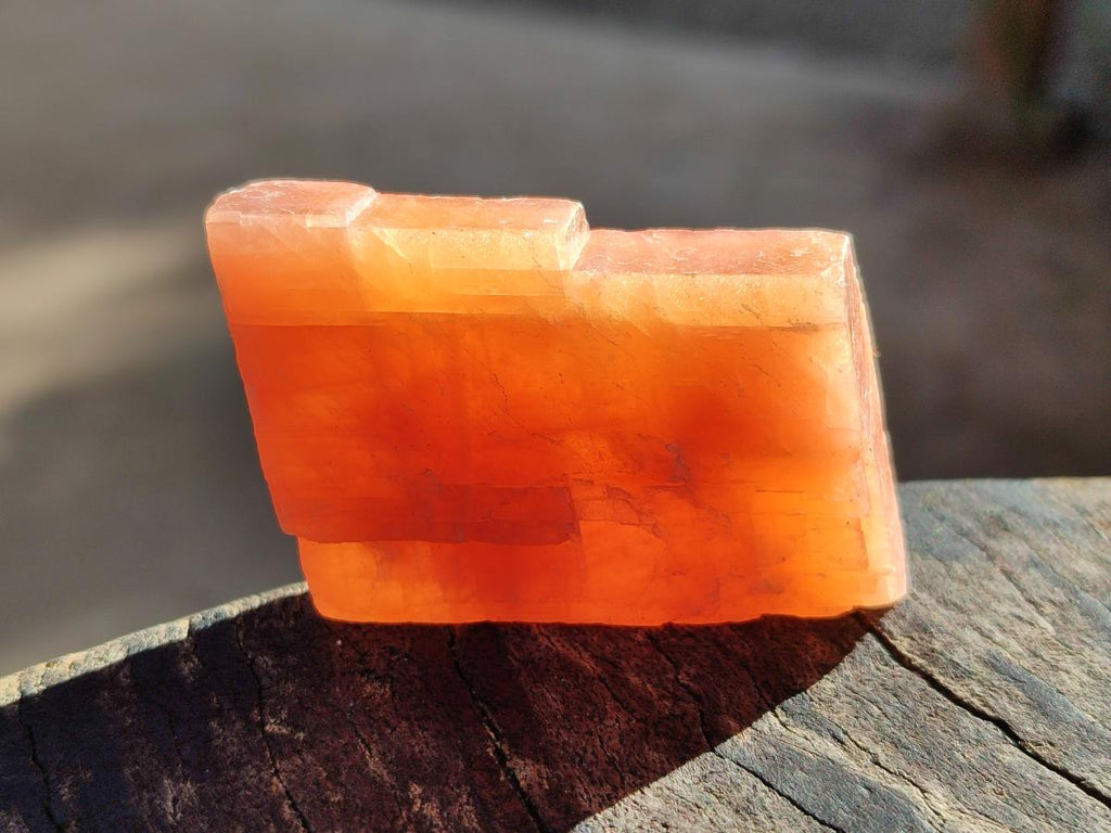 Natural Rhombohedral Sunset Orange Calcite Specimens x 24 From Spitzkop, Namibia - Toprock Gemstones and Minerals 