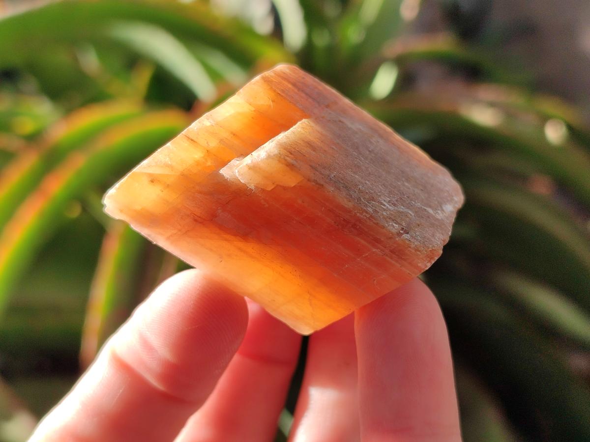 Natural Rhombohedral Sunset Orange Calcite Specimens x 24 From Spitzkop, Namibia - Toprock Gemstones and Minerals 