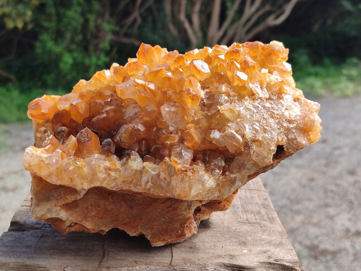 Natural Golden Limonite Quartz Cluster x 1 From Solwezi, Zambia - Toprock Gemstones and Minerals 