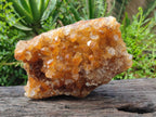 Natural Golden Limonite Quartz Cluster x 1 From Solwezi, Zambia - Toprock Gemstones and Minerals 
