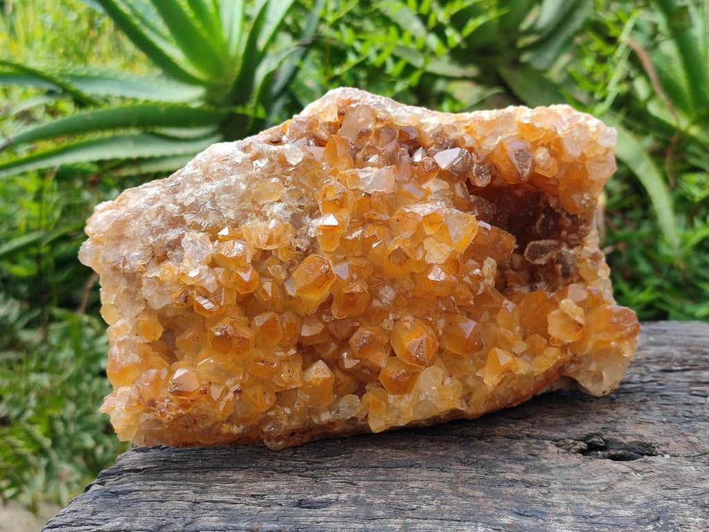 Natural Golden Limonite Quartz Cluster x 1 From Solwezi, Zambia - Toprock Gemstones and Minerals 