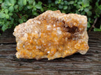 Natural Golden Limonite Quartz Cluster x 1 From Solwezi, Zambia - Toprock Gemstones and Minerals 