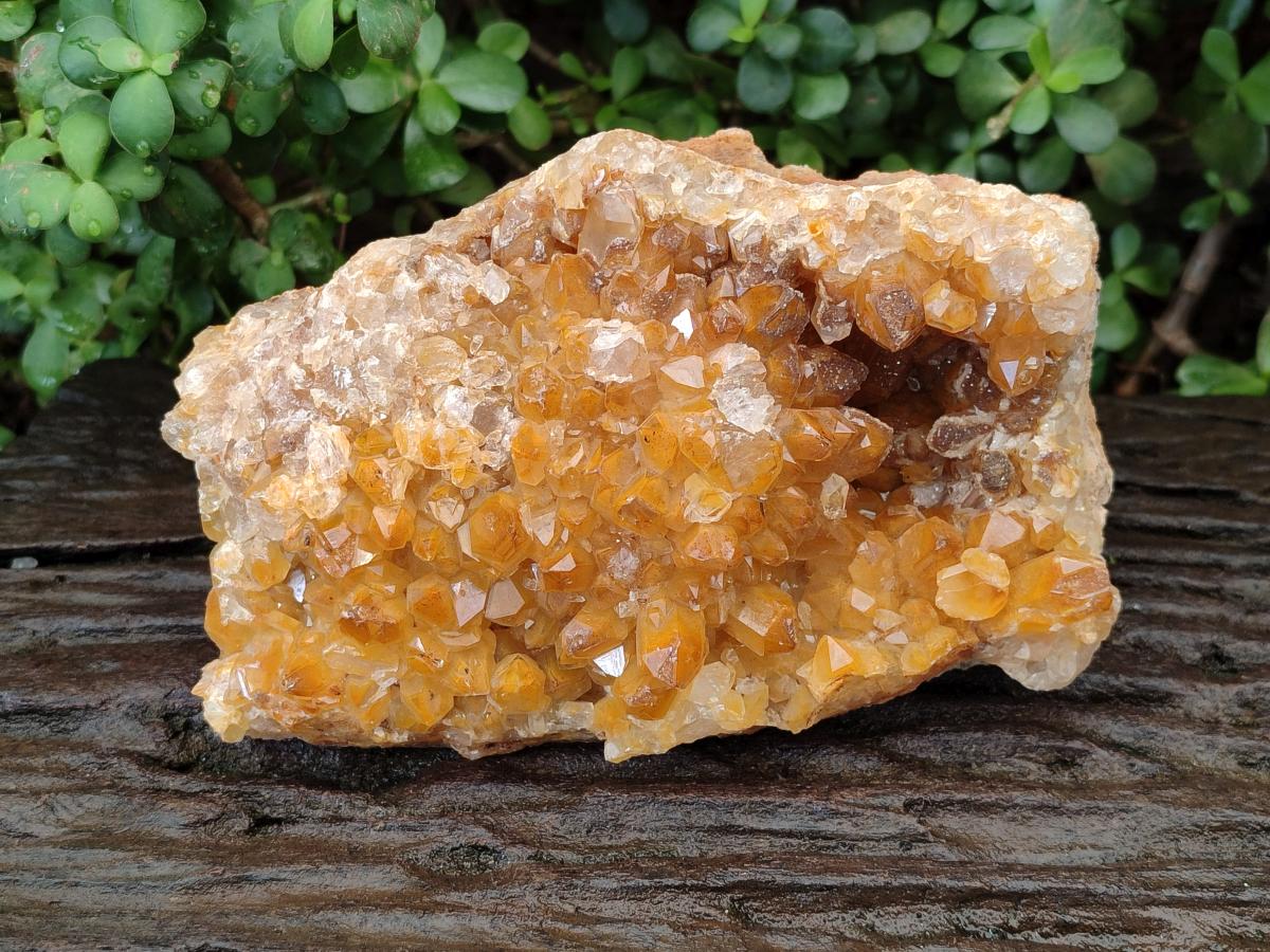 Natural Golden Limonite Quartz Cluster x 1 From Solwezi, Zambia - Toprock Gemstones and Minerals 