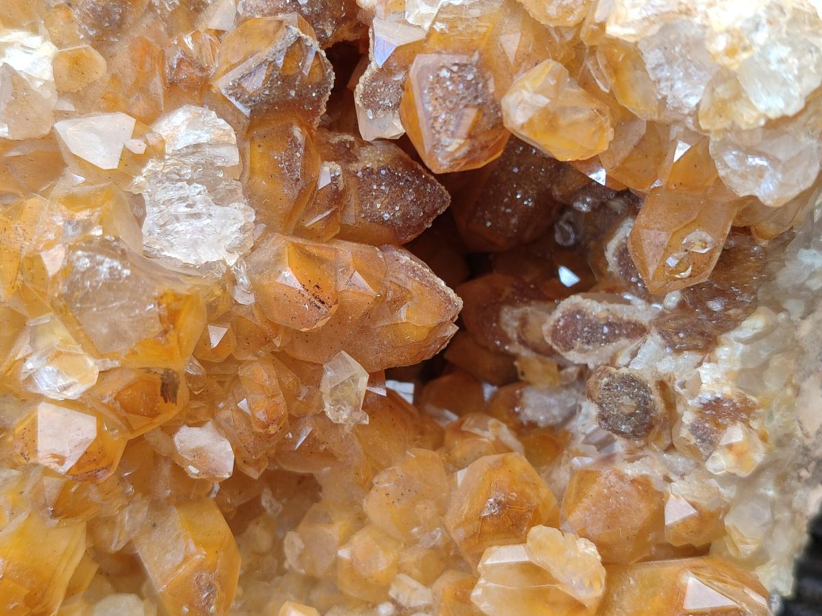 Natural Golden Limonite Quartz Cluster x 1 From Solwezi, Zambia - Toprock Gemstones and Minerals 