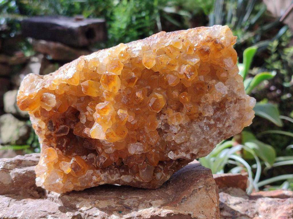 Natural Golden Limonite Quartz Cluster x 1 From Solwezi, Zambia - Toprock Gemstones and Minerals 