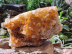 Natural Golden Limonite Quartz Cluster x 1 From Solwezi, Zambia - Toprock Gemstones and Minerals 