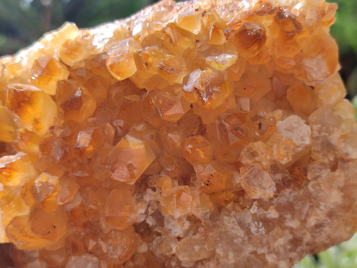 Natural Golden Limonite Quartz Cluster x 1 From Solwezi, Zambia - Toprock Gemstones and Minerals 