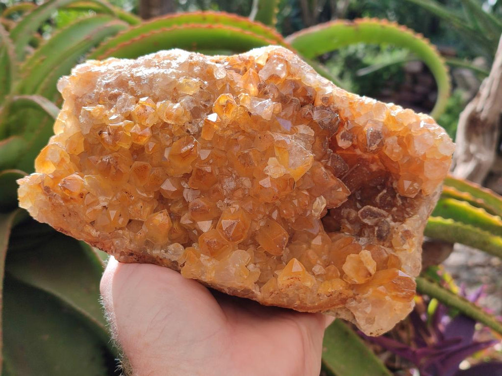 Natural Golden Limonite Quartz Cluster x 1 From Solwezi, Zambia - Toprock Gemstones and Minerals 