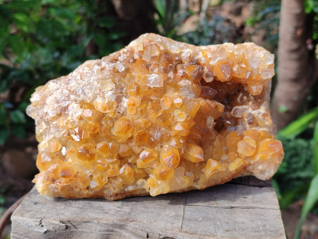 Natural Golden Limonite Quartz Cluster x 1 From Solwezi, Zambia - Toprock Gemstones and Minerals 