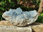 Natural Blue Celestite Geode Cluster Specimens x 3 From Sakoany, Madagascar - Toprock Gemstones and Minerals 