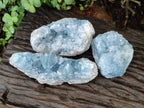 Natural Blue Celestite Geode Cluster Specimens x 3 From Sakoany, Madagascar - Toprock Gemstones and Minerals 