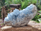 Natural Blue Celestite Geode Cluster Specimens x 3 From Sakoany, Madagascar - Toprock Gemstones and Minerals 