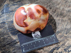 Polished Polychrome Jasper Nodules and a Sphere x 6 From NW Coast, Madagascar - Toprock Gemstones and Minerals 
