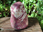 Polished Rubellite Pink Tourmaline Standing Free Form x 1 From Ambatondrazaka, Madagascar - Toprock Gemstones and Minerals 