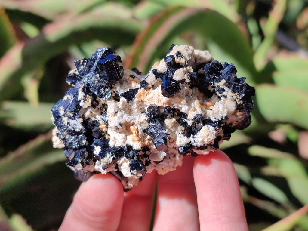 Natural Schorl Black Tourmaline with Feldspar and Hyalite Opal x 12 From Erongo, Namibia - Toprock Gemstones and Minerals 