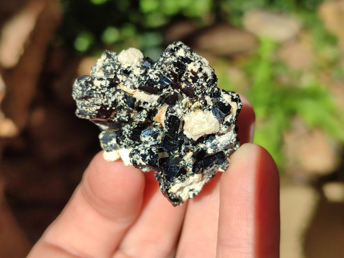 Natural Schorl Black Tourmaline with Feldspar and Hyalite Opal x 12 From Erongo, Namibia - Toprock Gemstones and Minerals 
