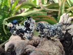 Natural Schorl Black Tourmaline with Feldspar and Hyalite Opal x 12 From Erongo, Namibia - Toprock Gemstones and Minerals 